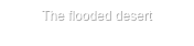 The flooded desert